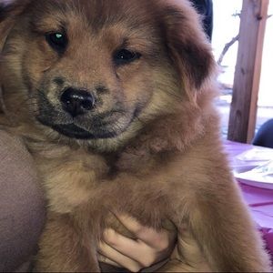 cute 2000s/y2k tops, bottoms and mini skirts. Usually between sizes small-medium